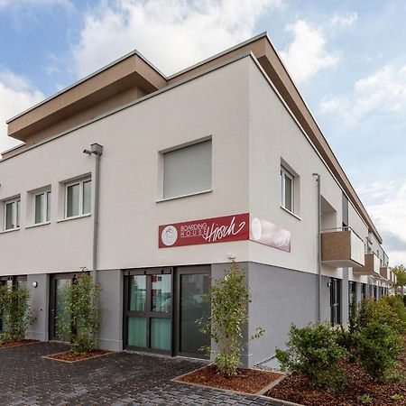 Boardinghouse Hirsch - Apartments In Kork Kehl Εξωτερικό φωτογραφία